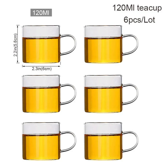 Bouilloire en verre résistant compatible feu direct